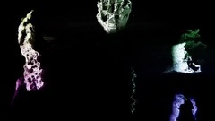 Рябиновые птицы