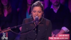 Cats On Trees - Love You Like A Love Song