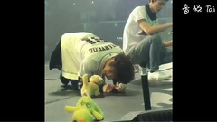 和玩具狗玩 哈哈哈