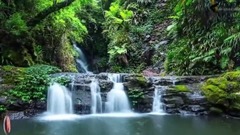 Looking Down My Heart (Myk Bee Remix)