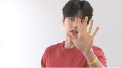 朴海镇 - True Story