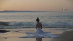 Richard Clayderman,音乐短片 - Mariage D'Amour