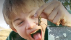 Michael Learns To Rock - Fairy Tale