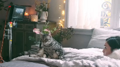 新垣结衣 - 雪肌精20160901CM