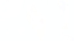 THE TIME I'VE LOVED YOU