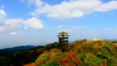 夜愿—鸟瞰新重庆