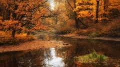 Secret Garden - Sometimes When It Rains