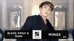 防弹少年团 EVOLUTION 2013 - 2017