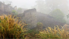 精挑细选魅力音乐Ⅵ