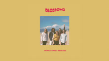 Blossoms - Honey Sweet Remix试听版