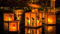 治愈身心的和风音乐合集