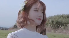 [UZZU COOKIE] 6 Cookie