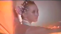 文章(台湾) - 望天