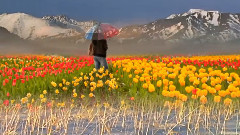 Наталья Бучинская ЛЮБИ МЕНЯ ТАК