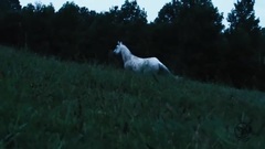 Fever Ray - If I Had A Heart