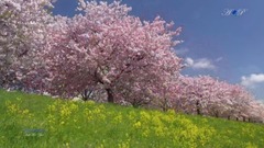 Giovanni Marradi - Just for you