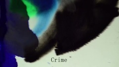 Fleet Foxes - Third of May Ōdaigahara