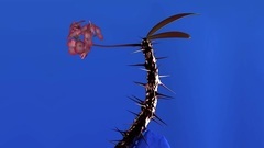 Flume,Moses Sumney - Weekend