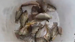 Người đàn ông Việt Nam với con trai ông câu cá trên sông đằng sau mạng