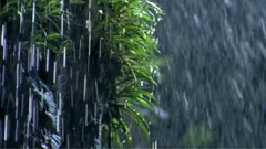 澳大利亚国家公园(Wonders of Australia):高山的奇迹(3/3)