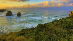 人生何处不相逢 Life Will Bring Us Together Again