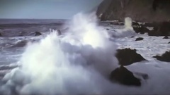 Bernward Koch - The Silver Veil