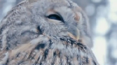 Paul Mauriat - Tombe La Neige