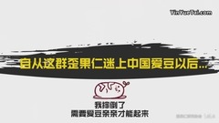 自从这群歪果仁在中国追星以后。。。