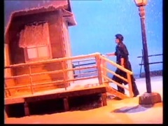 屠洪刚 - 感觉自己