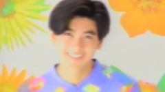 林志颖 - 野菊花