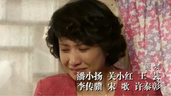 影视原声 - 电视剧<兄弟车行>片头曲