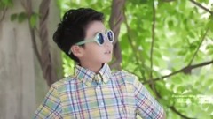 华语童星 - 青春年少