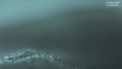 Spectral (Original Mix)