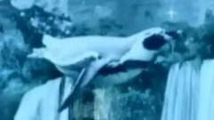 Enigma - ENIGMA red lounge 2015