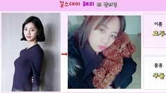 爱豆们的宠物狗合集