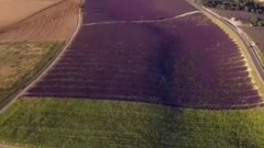 海阔天空  湖光山色  鸟语花香