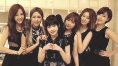 多么希望从始至终都是你们相亲相爱的6只