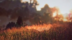 夜色这样的特别