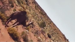 苍茫辽阔的画卷