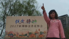 郁金幽香花满园