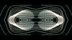 León Larregui - Birdie