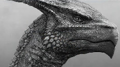 影视原声 - 电影<他是龙>