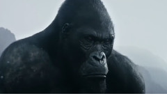 影视原声 - 泰山归来:险战丛林Cut