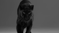 Вите Надо Выйти