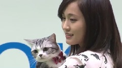 前田敦子,愛猫"ポッツ"にメロメロ