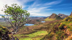 Romantic Relaxing Music Beautiful Piano Music