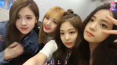 BLACKPINK - BLACK PINK's Day