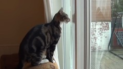 Sparta Dating And Mating