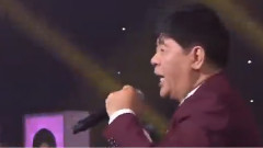 王洁实 - 中国话