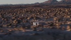 Zedd,Alessia Cara - Stay